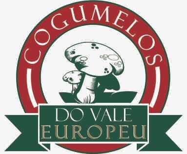 Imagem da Oportunidade